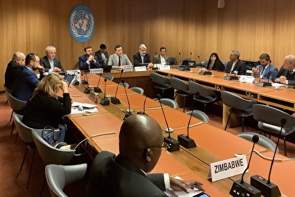 دیدار دبیر ستاد حقوق بشر با اعضای گروه دوستان منشور ملل متحد