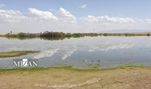 سازمان بازرسی استان البرز به مسائل زیست محیطی تالاب صالحیه ورود کرد